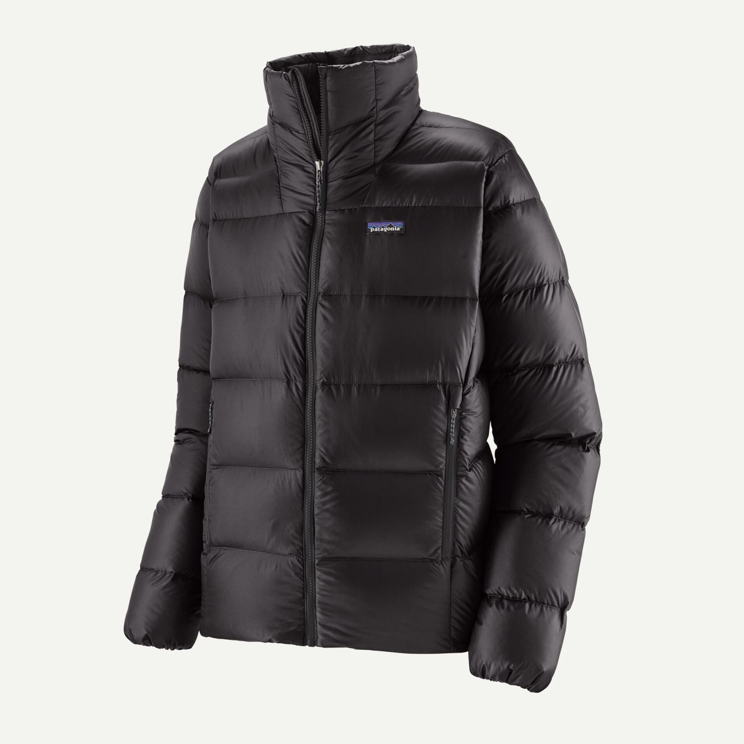Patagonia Men's Fitz Roy Down Jacket (Black)