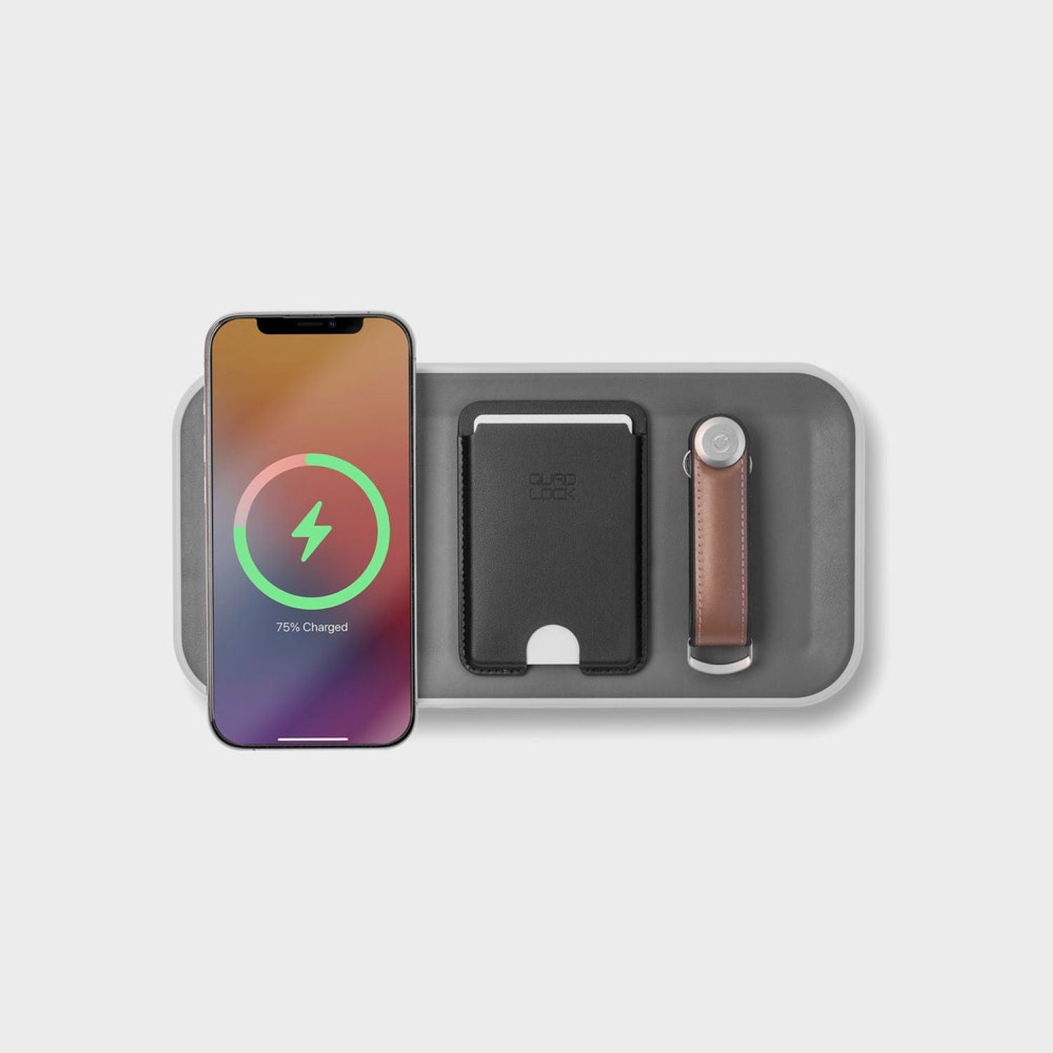 Orbitkey Nest (SA)
