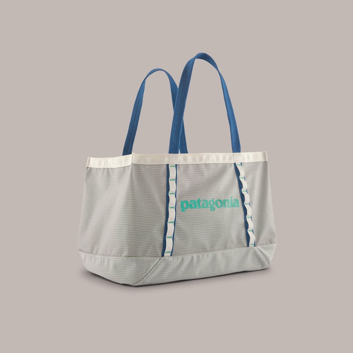 Patagonia Black Hole® Tote 25L