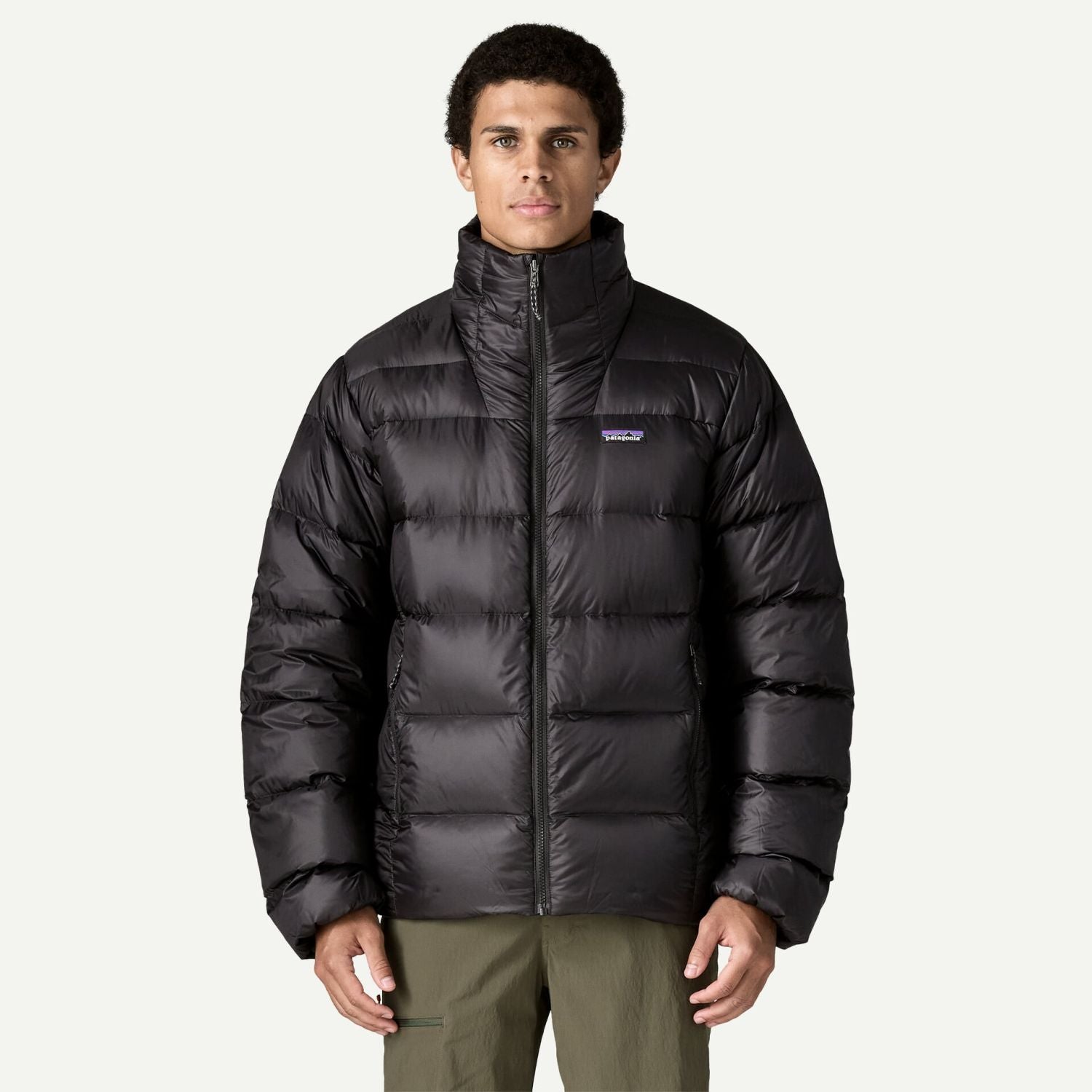 Patagonia Men's Fitz Roy Down Jacket (Black)